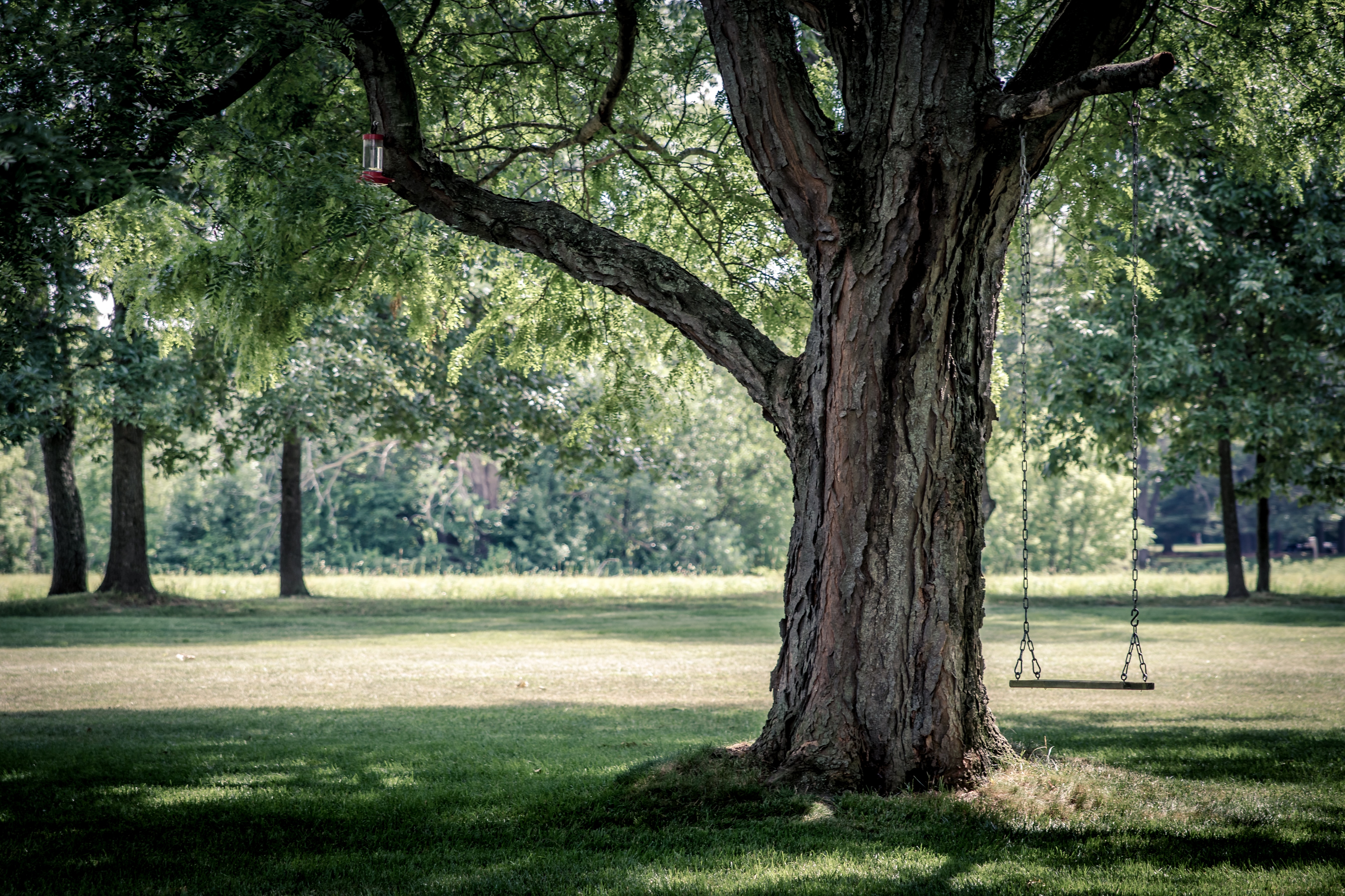 ryan-hafey-PdJjT-zYg_E-unsplash