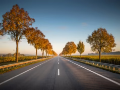 Untukmu yang Ingin Istiqomah: Kuatkan Niat, Luruskan Langkah