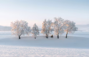 Menebar Kepedulian dan Kasih Sayang