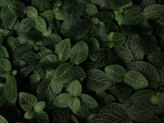 Ketika Al-Quran Berbicara Tentang Dunia